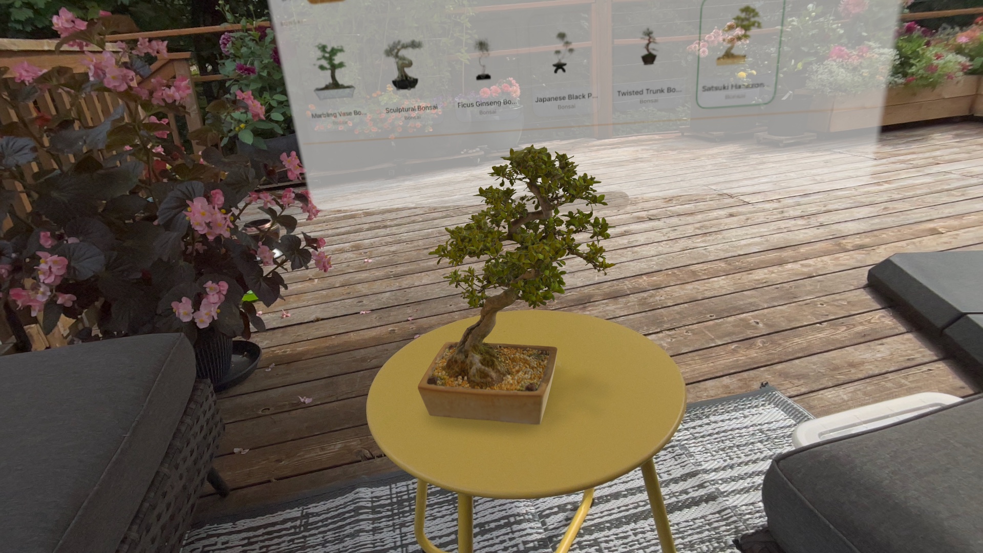 A bonsai placed on an outdoor deck table