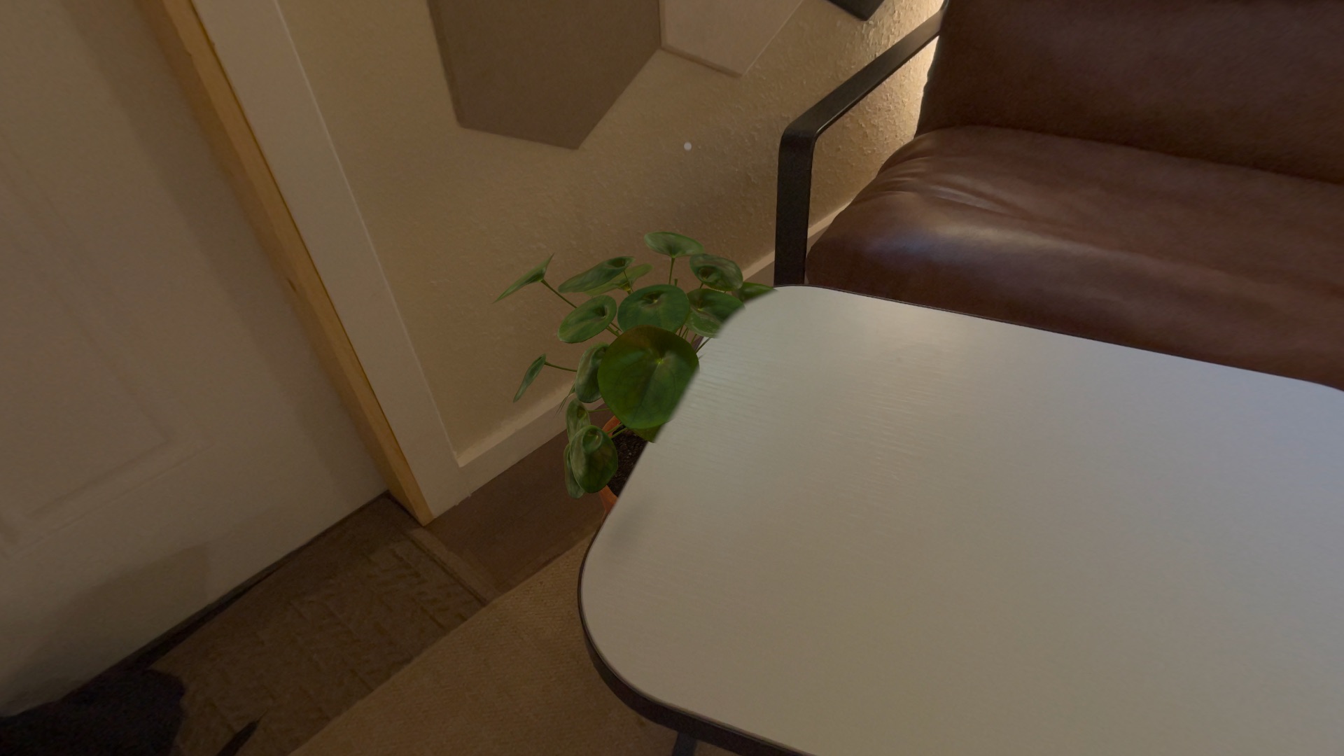 A Plantelier plant partially hidden behind a real table, demonstrating spatial occlusion